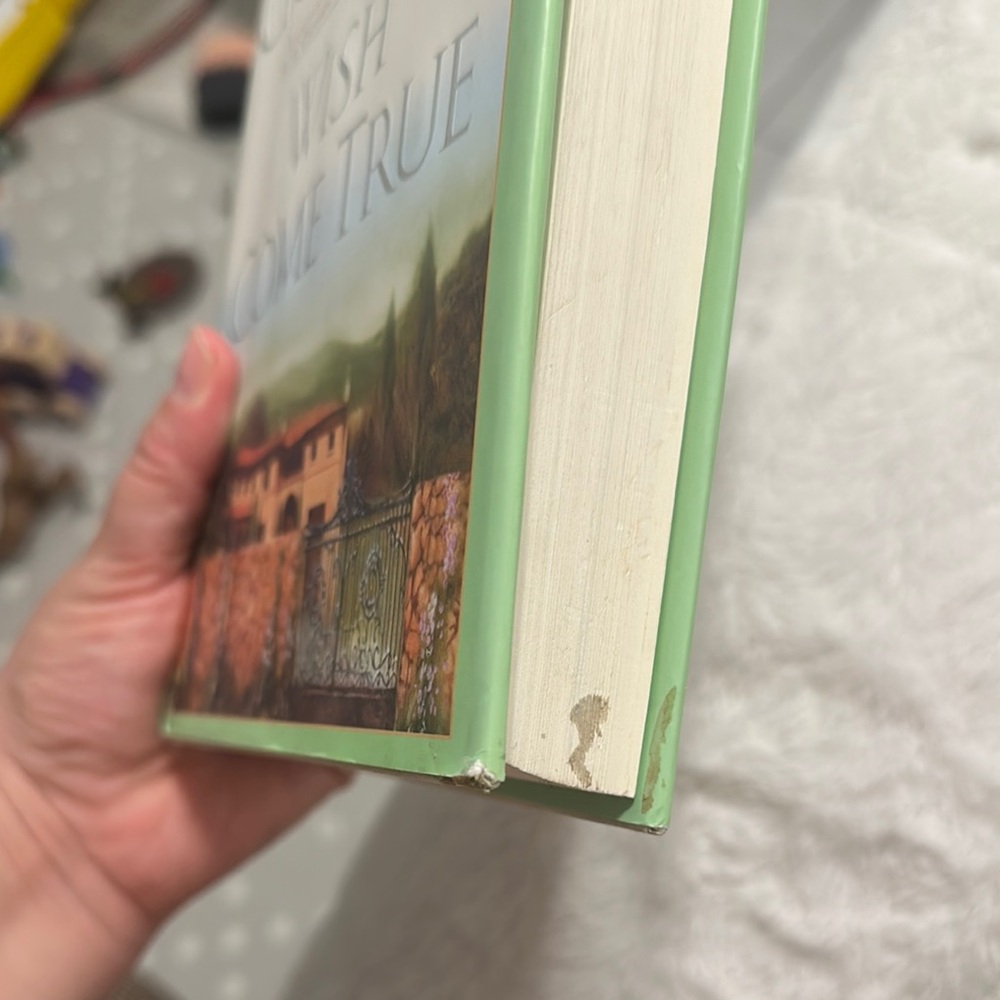 'Wish Come True' Novel by Ellen Goudge - Picture 4 of 4